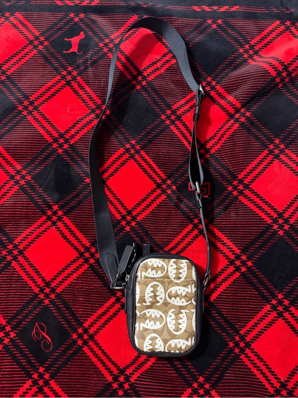 Coach x Guang Yu Mini Crossbody Bag | Signature Canvas Graphic Print - Picture 4 of 8